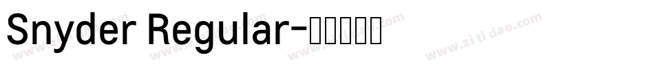 Snyder Regular字体转换